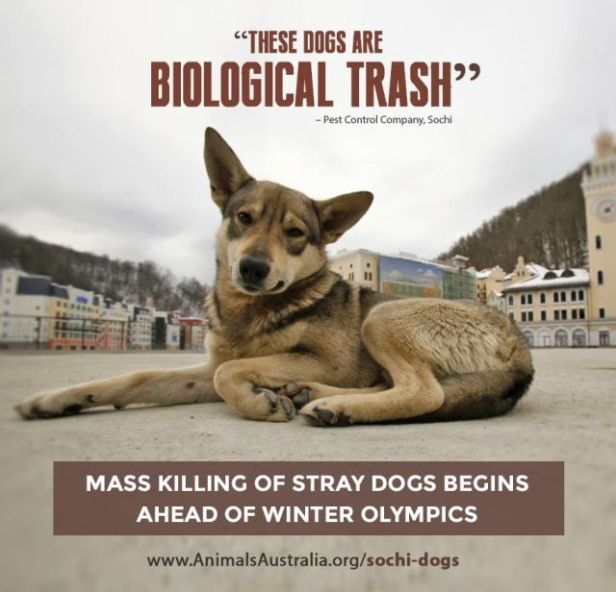 772d567d8b388f214e707fa97df2dd8f