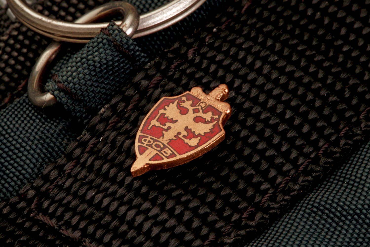 Près de 30 des visiteurs étrangers qui entrent en Russie sont