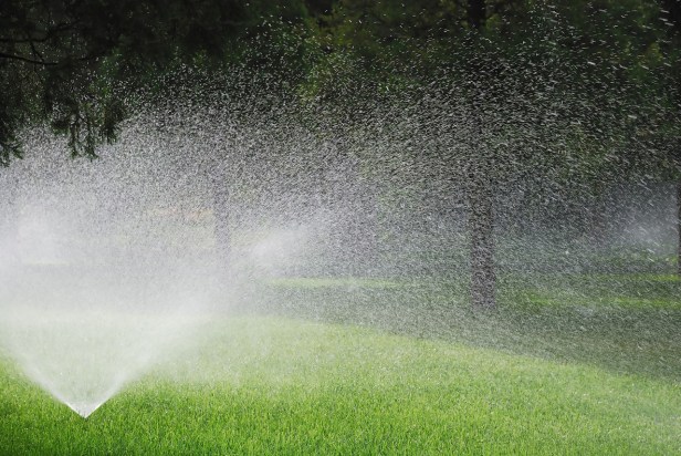 arrosage-automatique-05