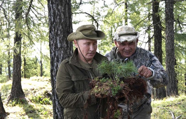 b293a0ef16204149be94fc632304fd7d