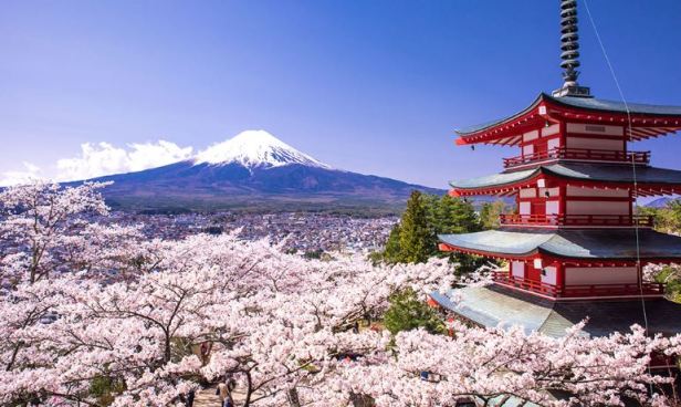 Les arrivées annuelles ont grimpé de plus de 20 millions, faisant du Japon, la destination majeure de la décennie 