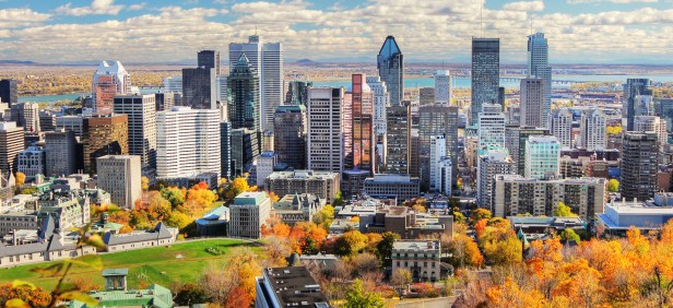 Montréal est la deuxième plus grande ville francophone au monde, après Paris.