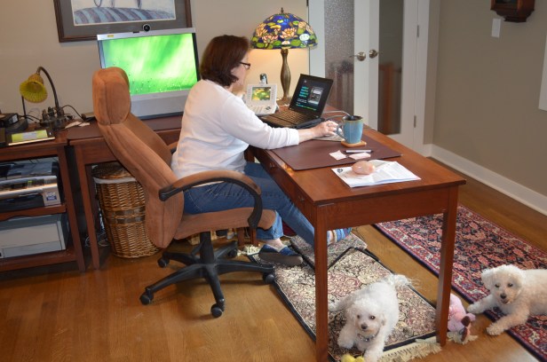 La plupart des employés qui demandent à travailler à domicile sont des parents et des jeunes qui ont besoin d'horaires et d'heures de travail flexibles