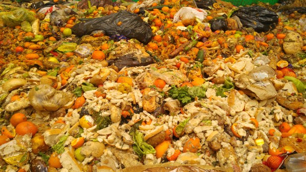 Les ménages d’une seule personne sont les plus gros producteurs de déchets alimentaires