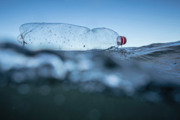 La Commission européenne propose d'interdire les plastiques à usage unique et d'imposer aux fabricants la charge de nettoyer les déchets, dans le but de réduire le nombre de déchets marins dans le monde.