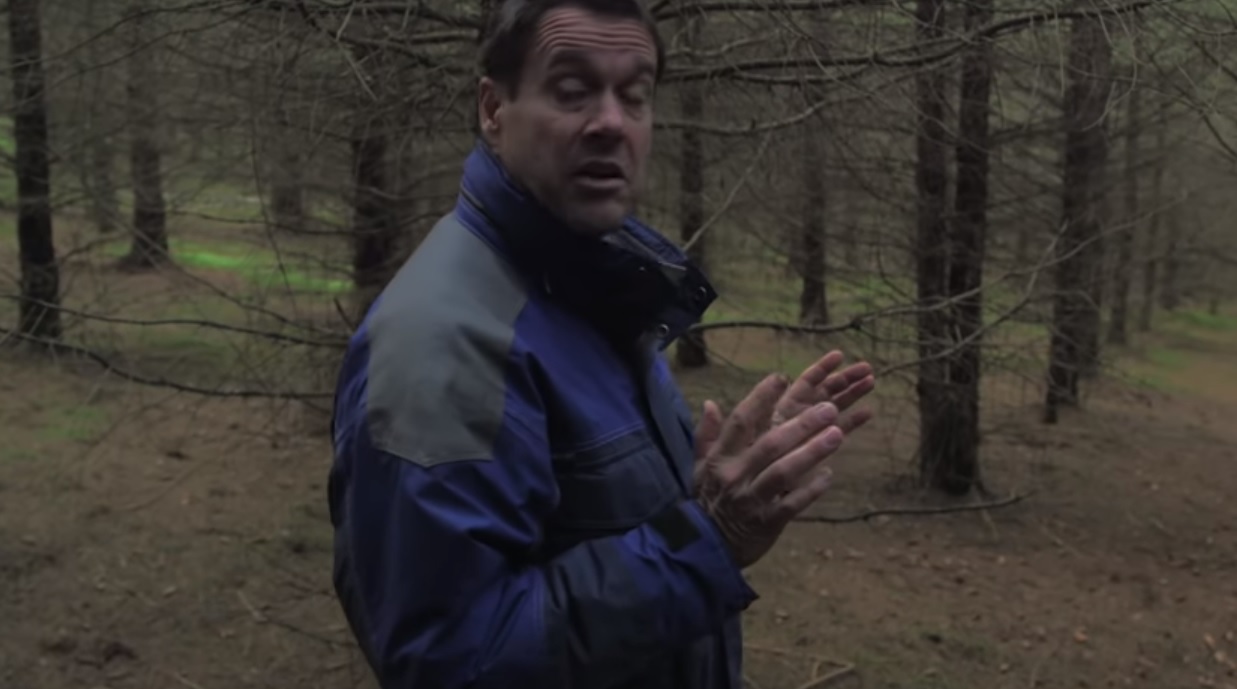 Le Temps des forêts