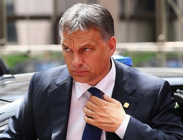 Viktor Orban prisonnier des partenariats universitaires Source : Pixabay