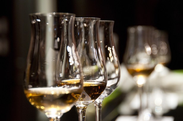 La consommation de vin en Russie peut croître de plus de deux fois d'ici 2030,
