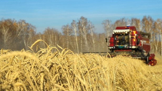 Cette année, la Russie a enregistré une croissance considérable de ses exportations agricoles et est devenue le premier exportateur mondial de blé.