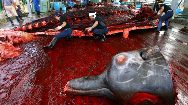 koichi_kamoshida_feature_08