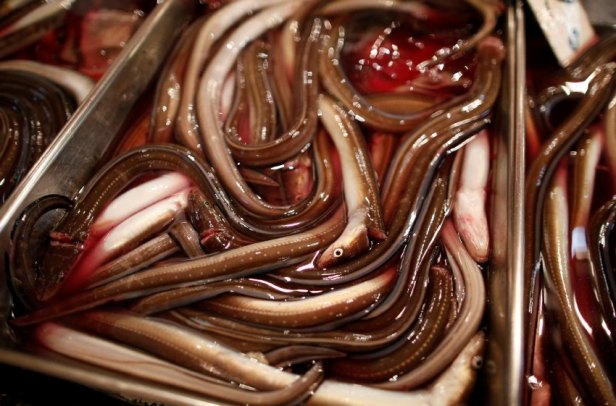 The Wider Image: As historic Tsukiji market closes, fishmongers mourn