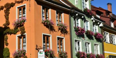 pink petaled flower hanged on window on house