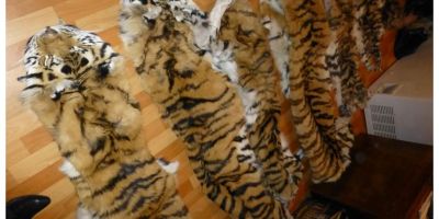 Le marché noir de la Russie représentait 20% du PIB en 2018