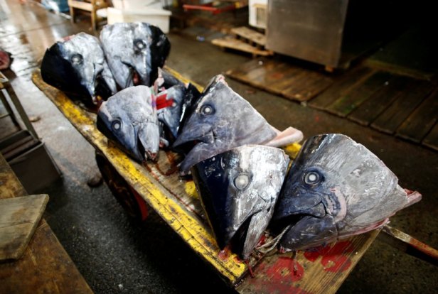 The Wider Image: As historic Tsukiji market closes, fishmongers mourn