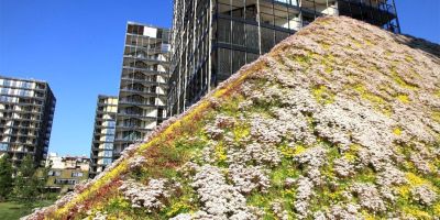 Pavel Dostál, de l'association des architectes paysagistes, a déclaré au quotidien que le nombre de toits couverts de végétation en République tchèque ne cessait d'augmenter, mais leur nombre est encore très faible par rapport aux autres pays européens.